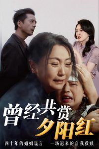 曾經(jīng)共賞夕陽紅(全集)