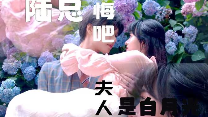 陸總懺悔吧，夫人才是白月光(全集)