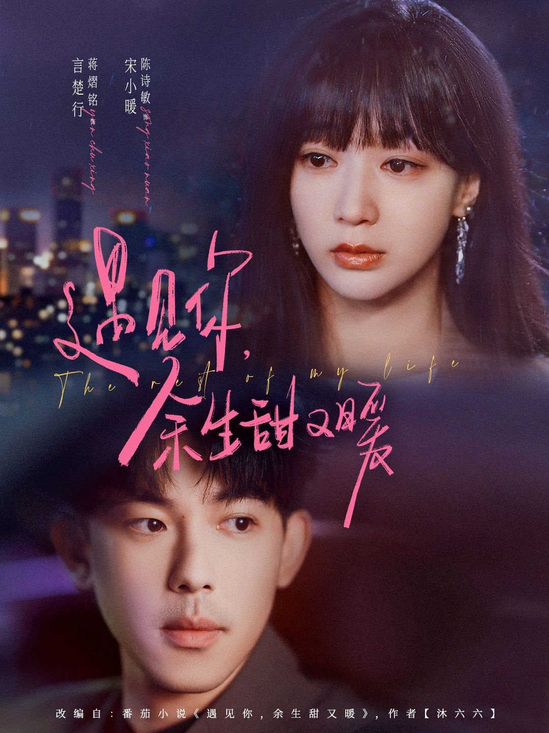 遇見(jiàn)你余生甜又暖(全集)