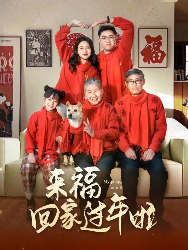 來?；丶疫^年啦(全集)