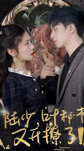 陸少，葉秘書又開撩了(全集)