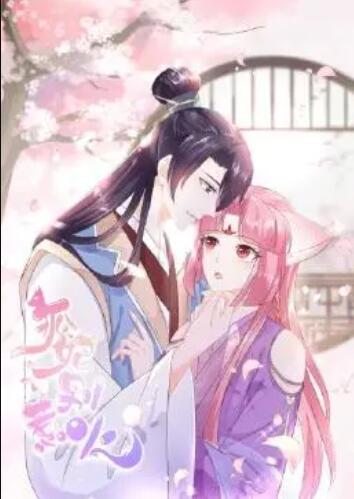 狐妃，別惹火