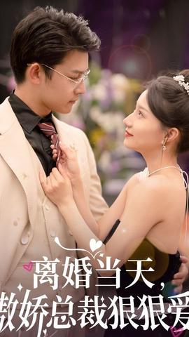離婚當(dāng)天，傲嬌總裁狠狠愛(全集)