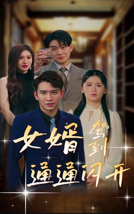 女婿駕到，通通閃開(全集)