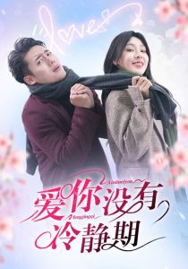 愛(ài)你沒(méi)有冷靜期(全集)