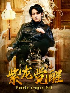 紫龍覺(jué)醒(全集)