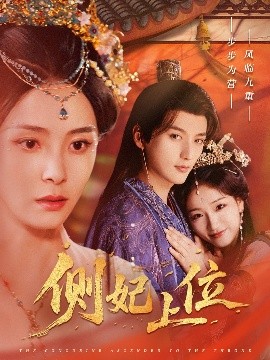 側(cè)妃上位(全集)