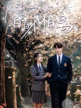 愿得一人心白首不相離(全集)