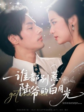 誰都別惹陸爺的白月光(全集)