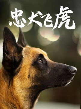 忠犬飛虎(全集)