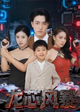 龍芯風暴(全集)