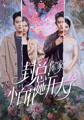 封總，你家小白花她開大了(全集)