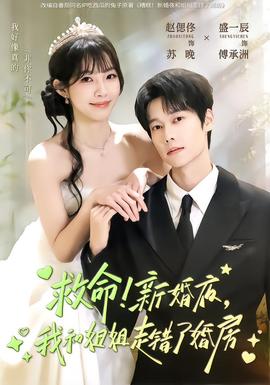 救命！新婚夜，我和姐姐走錯(cuò)了婚房(全集)