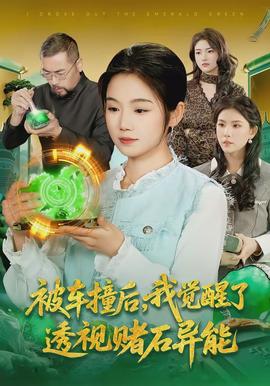 被車撞后，我覺醒了透視賭石異能了(全集)