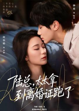 陸總，太太拿到離婚證跑了(全集)